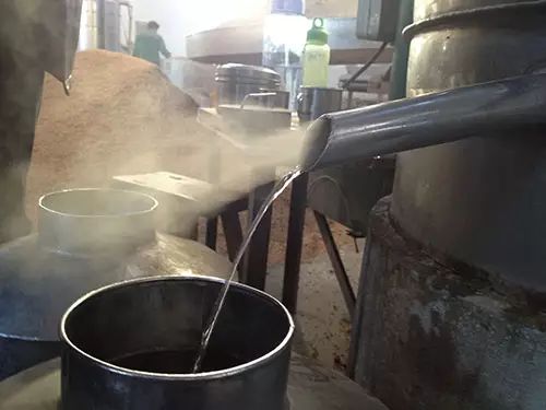 原浆酒能否直接饮用？一般酒厂是不会告诉你的